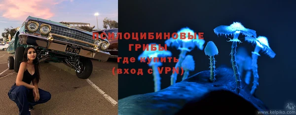 мяу мяу мука Белоозёрский